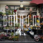 16-04-2005 Glennis Grace at studio in Amsterdam, by order of Pulse Magazine. April 16, 2005.

[keywords]Posed, Flowers[/keywords]